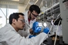 Artificial leaf harnesses sunlight for efficient fuel production